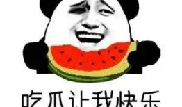 娱乐吃瓜的配音是什么意思,揭秘“娱乐吃瓜”配音背后的趣味与魅力